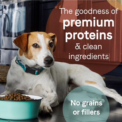 Canidae PURE Grain Free, Limited Ingredient Dry Dog Food, Duck and Sweet Potato (4-lb)