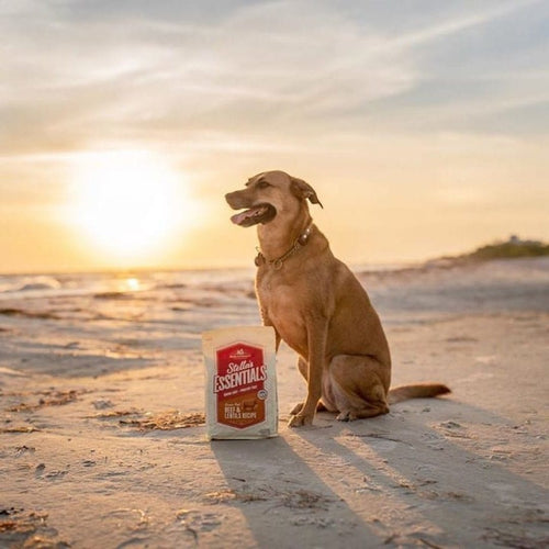 Stella & Chewy's Stella's Essentials High Plains Red Recipe with Grass-Fed Beef Dry Dog Food (3-lb)