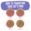 Weruva B.F.F. PLAY PATÉ! Tuna & Beef Blast Off! Dinner in a Hydrating Purée Wet Cat Food (3.0 Oz - 12pk)