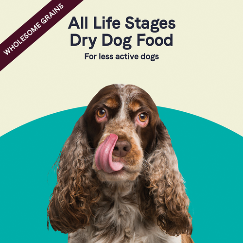 Canidae All Life Stages Less Active Dry Dog Food (15-lb)