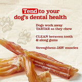 Natural Farm Beef Tendon Dog Chews (6-9")