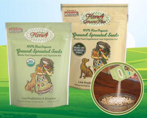 Carna4® Flora4® Organic Sprouted Seeds Supplement Raw Food Topper (18 oz / Greens Plus)