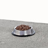 Primal Pet Foods Feline Raw Frozen Pronto (Pork 1 Lb)
