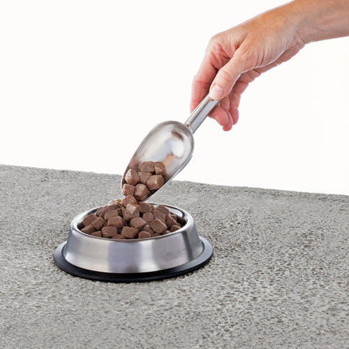Primal Pet Foods Feline Raw Frozen Pronto (Pork 1 Lb)