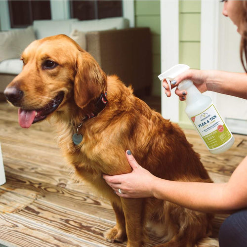 Wondercide Flea & Tick Spray for Pets + Home (CEDARWOOD 16 oz)
