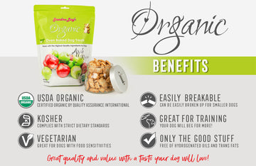 Grandma Lucy's Organic Apple Oven Baked Dog Treats (14-oz)
