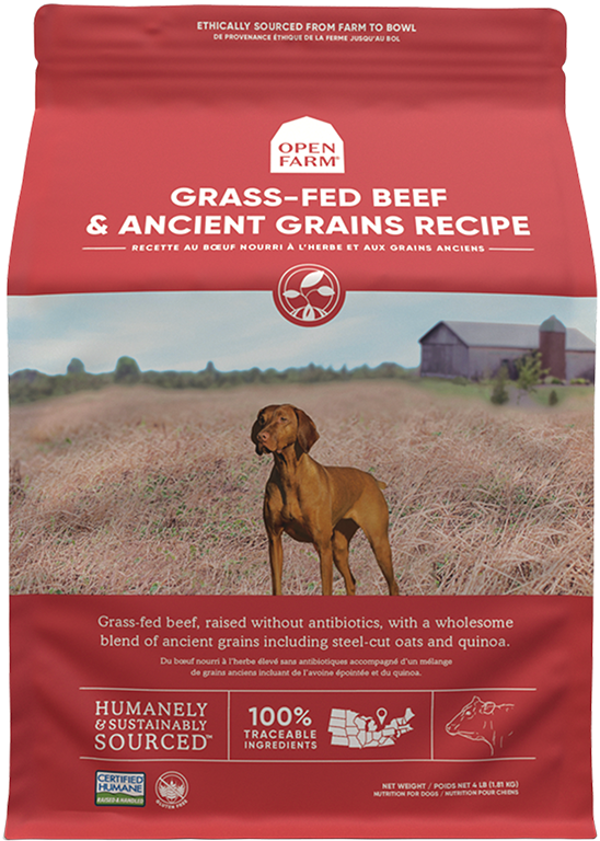 Open Farm Grass-Fed Beef & Ancient Grains Dry Dog Food (11-lbs)