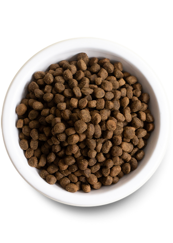 Open Farm Wild-Caught Salmon & Ancient Grains Dry Dog Food (22-lbs)