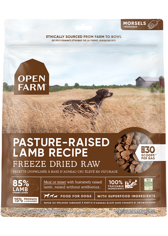 Open Farm Pasture-raised Lamb Freeze Dried Raw Dog Food (22 oz)