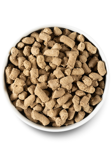 Open Farm Pasture-raised Lamb Freeze Dried Raw Dog Food (22 oz)