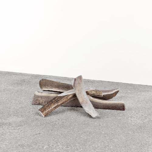 Primal Stag Antler Dog Chew (Extra Large)