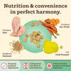 Primal Pet Foods Kibble in the Raw Chicken Recipe for Dogs (9 LB)
