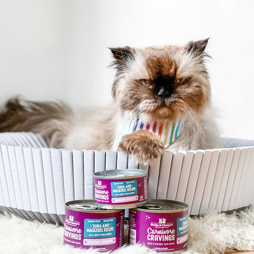 Stella & Chewy's Carnivore Cravings Savory Shreds Tuna & Mackerel Dinner Recipe Wet Cat Food (5.2-oz)