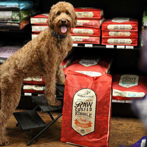 Stella & Chewy's Grass-Fed Beef Raw Coated Kibble (10 lb)