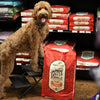 Stella & Chewy's Grass-Fed Beef Raw Coated Kibble (3.5 lb)
