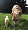 Primal Pet Foods Goat Milk Original (16 Oz)