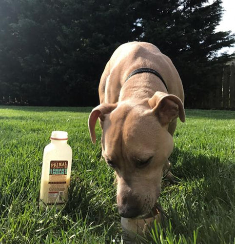 Primal Pet Foods Goat Milk Original (16 Oz)