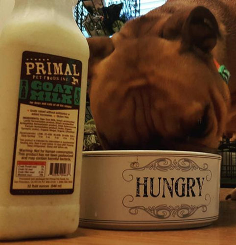 Primal Pet Foods Goat Milk Original (16 Oz)