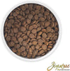 Zignature Limited Ingredient Trout & Salmon Meal Formula Dry Dog Food (4-lb)