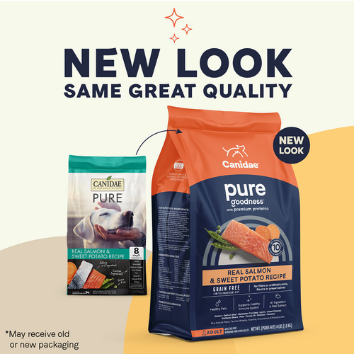 Canidae PURE Grain Free, Limited Ingredient Dry Dog Food, Salmon and Sweet Potato (12-lb)