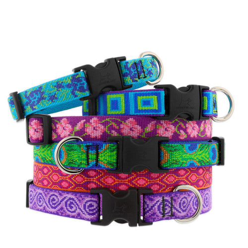 Lupine Pet Original Designs Dog Collar (1/2 Width x 10-16 Bling Bonz)