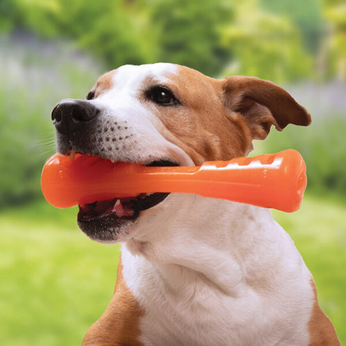 Bionic Urban Stick Dog Toys (Medium)