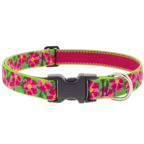 Lupine Pet Original Designs Dog Collar (1/2 Width X 10-16 Go Go Gecko)