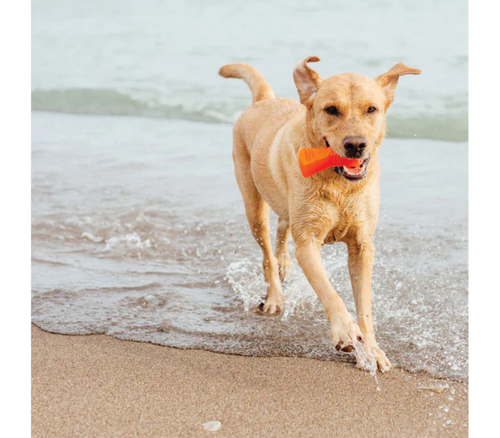 Bionic Bone Dog Toys (Small)