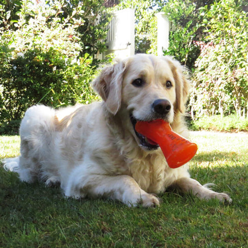Bionic Bone Dog Toys (Large)