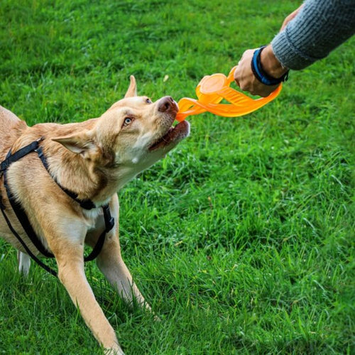 Bionic Toss-N-Tug Dog Toys (Large)