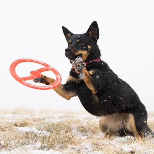 Bionic Toss-N-Tug Dog Toys (Large)