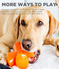 Bionic Stuffer Dog Toy (One size fits all)