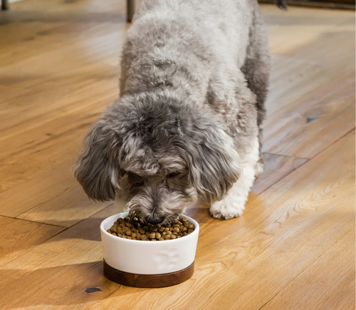 Open Farm Pollock & Oatmeal Digestive Health Dog Kibble (4 LB)