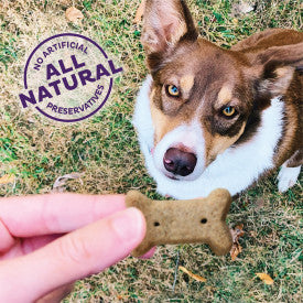 Old Mother Hubbard Crunchy Classic Natural Original Assortment Small Biscuits Dog Treats (53-oz)