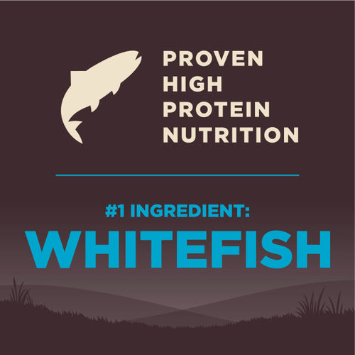 Wellness CORE Natural Grain Free Ocean Whitefish, Herring & Salmon Recipe Dry Dog Food (22-lb)