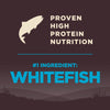 Wellness CORE Wholesome Grains Ocean Whitefish Dog Food ()