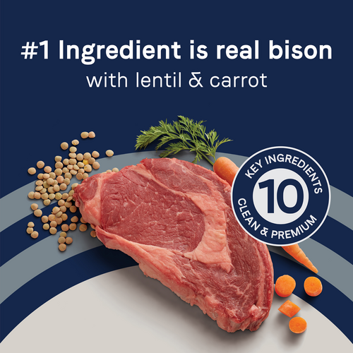 Canidae Grain Free PURE Bison, Lentil & Carrot Recipe Dry Dog Food (4-Lb)