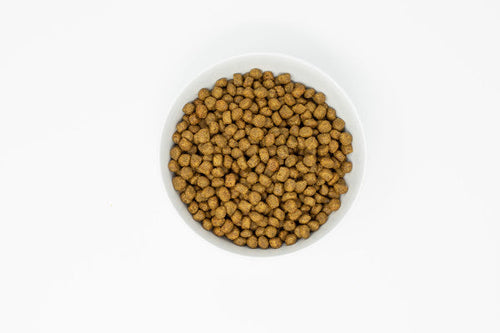 Stella & Chewy's Stella's Essentials Grain-Free Wild Mountain Meadow Recipe with Grass-Fed Lamb Dry Dog Food (3-lb)