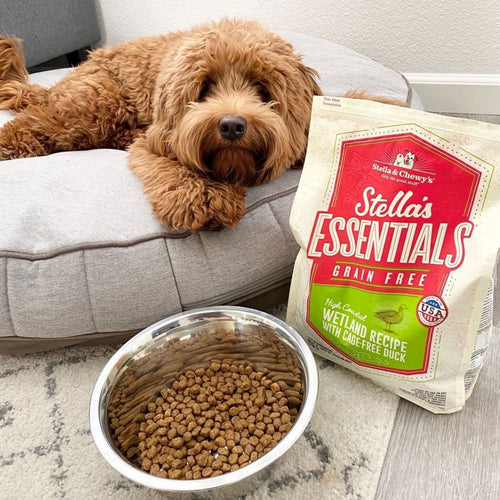 Stella & Chewy's Stella's Essentials - Grain-Free High Coastal Wetland Recipe with Cage-Free Duck (25-lb)