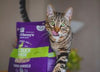 Stella & Chewy's Duck Duck Goose Grain Free Dinner Morsels Freeze Dried Cat Food (8-oz)