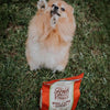 Stella & Chewy's Raw Coated Kibble With Wholesome Grains Cage Free Duck Recipe Dry Dog Food (3.5-lb)