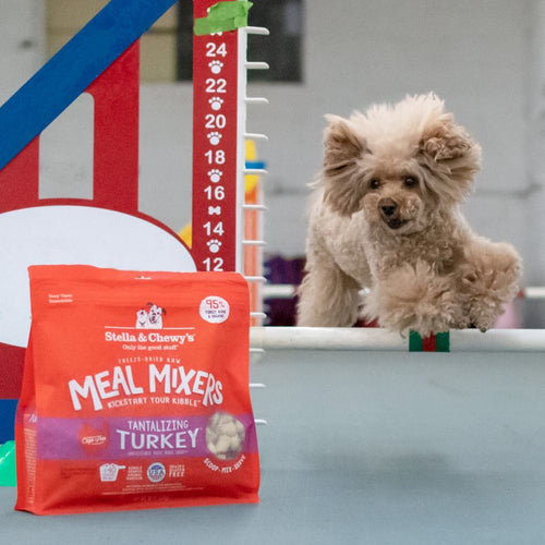Stella & Chewy's Tantalizing Turkey Meal Mixers (8-oz)