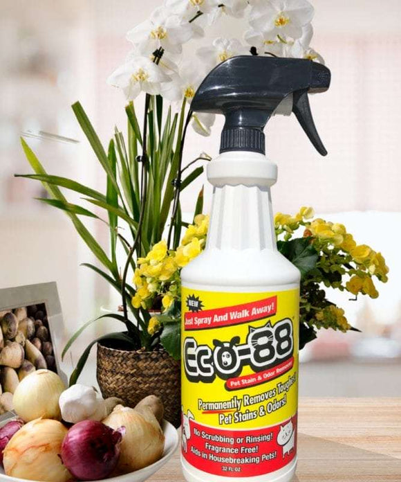 Eco-88 Pet Stain & Odor Remover