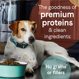 Canidae Grain Free PURE Wild Boar & Garbanzo Bean Recipe Dry Dog Food
